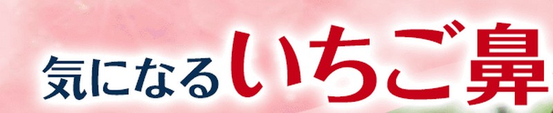 �@��p�̃j�L�r�P�A Remery(�������[)�̖{�����T�C�g